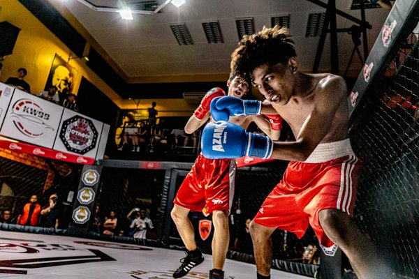 Le Kung Fu dans le cinéma de Hong Kong